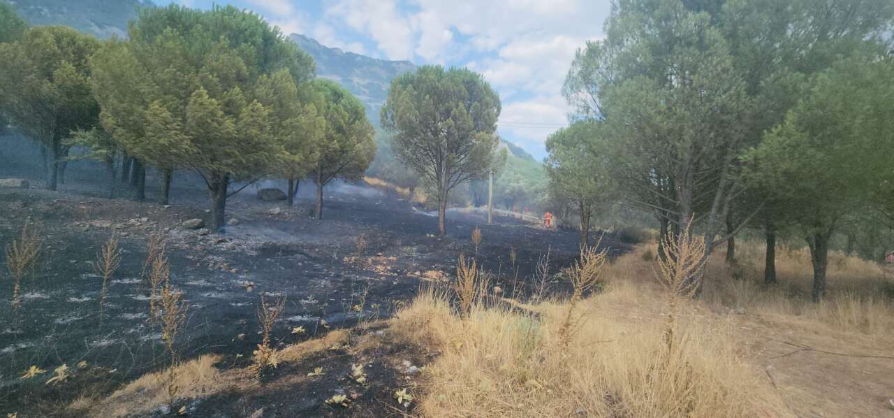 Menteşe’de Otluk Alanda Çıkan Yangın Ormana Sıçradı 3